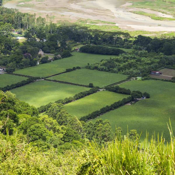 beautiful-green-field-costa-rican-countryside-scaled